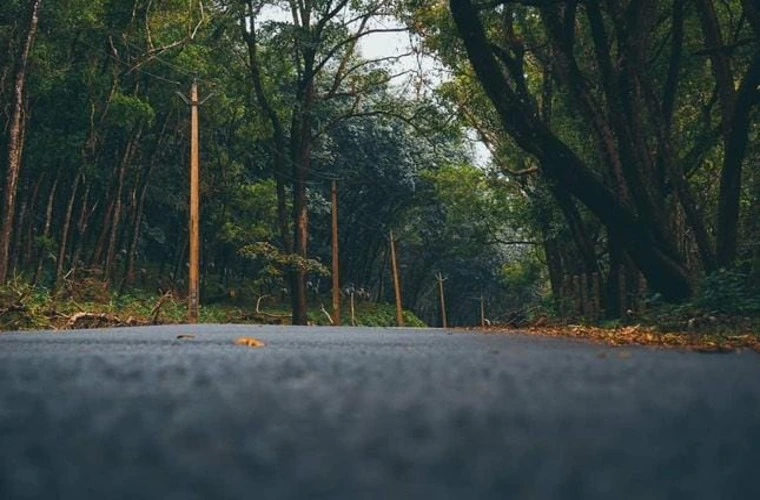 Image of a road leading to a location towards forest